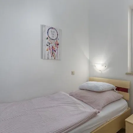 Rosie فيلة Novigrad Istria