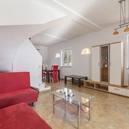 Rosie فيلة Novigrad Istria